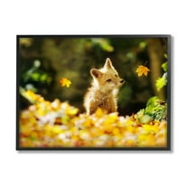 Stupell Industries Fox Watching Autumn Leaves Photograph Black Framed Art Print Wall Art, Design by Carrie Ann Grippo-Pike