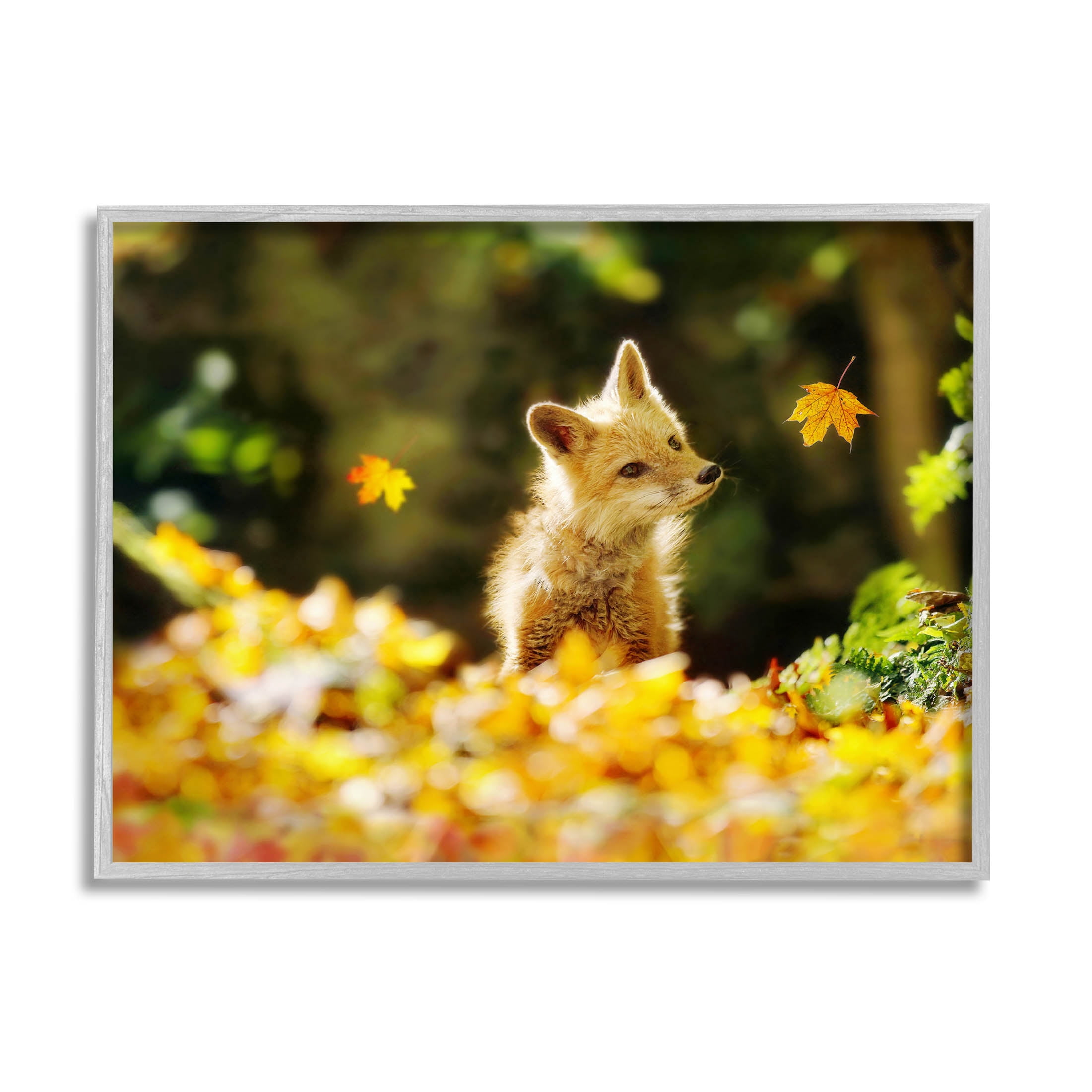 Stupell Industries Fox Watching Autumn Leaves Photograph Gray Framed Art Print Wall Art, Design by Carrie Ann Grippo-Pike