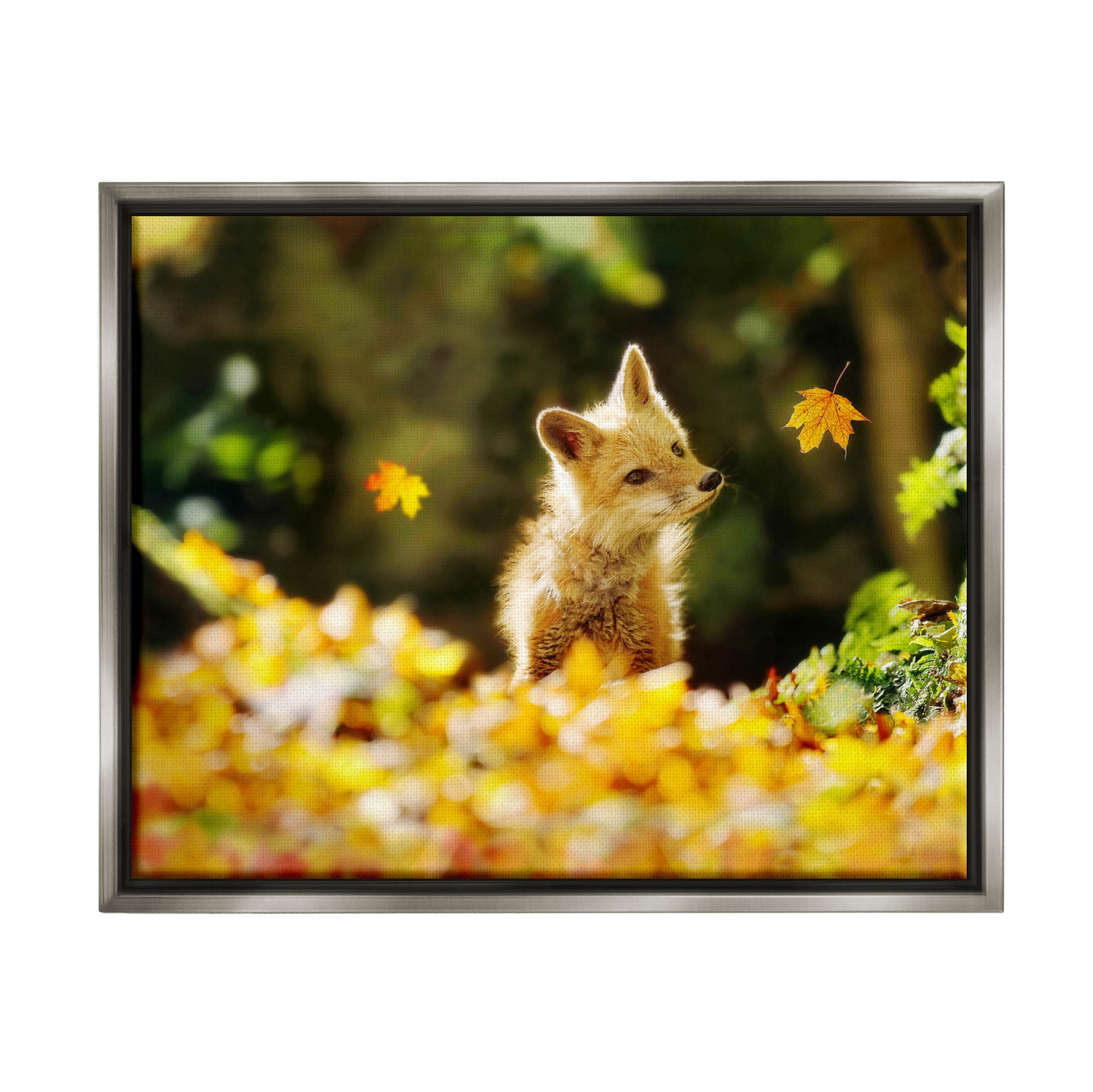 Stupell Industries Fox Watching Autumn Leaves Photograph Luster Gray Floating Framed Canvas Print Wall Art, Design by Carrie Ann Grippo-Pike