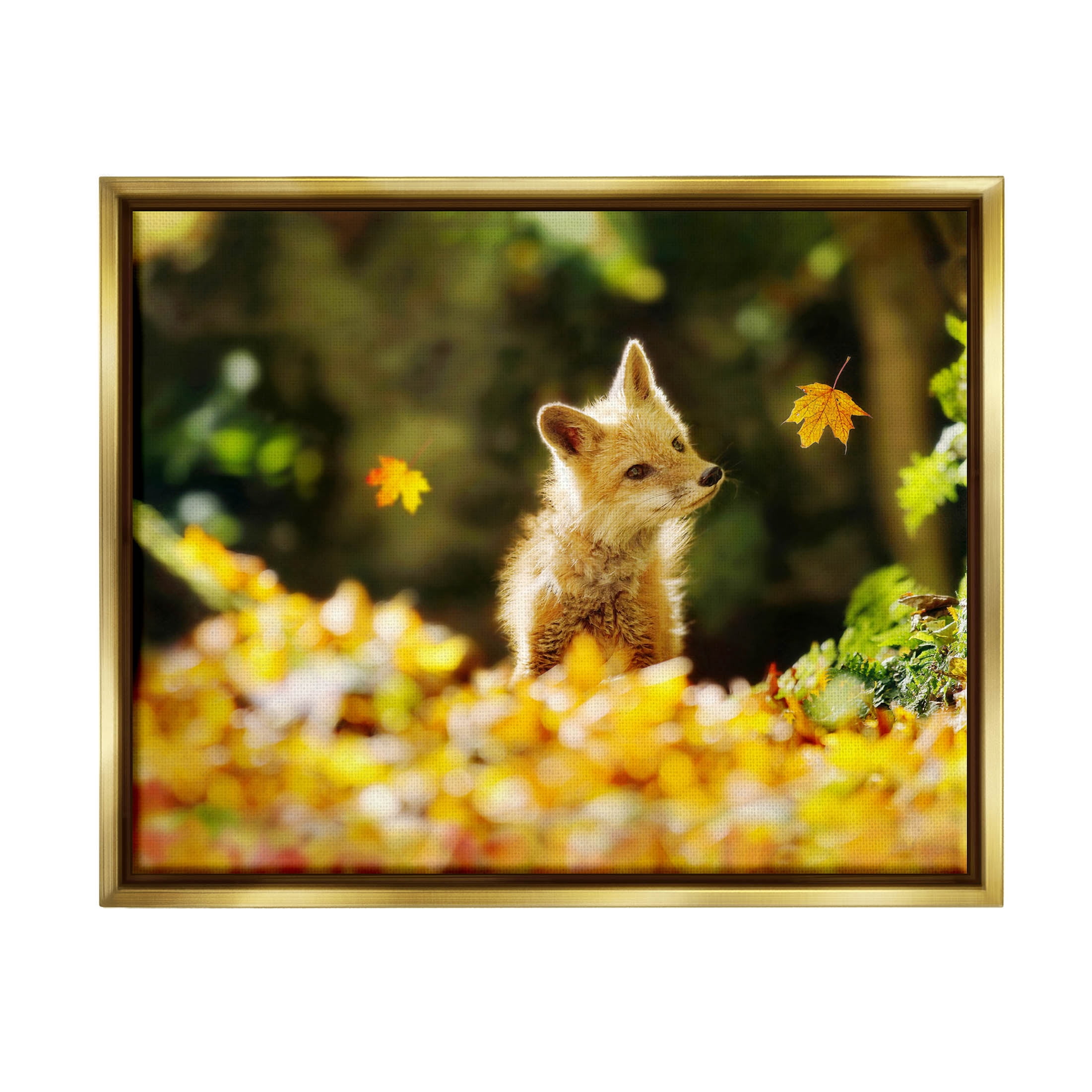 Stupell Industries Fox Watching Autumn Leaves Photograph Metallic Gold Floating Framed Canvas Print Wall Art, Design by Carrie Ann Grippo-Pike