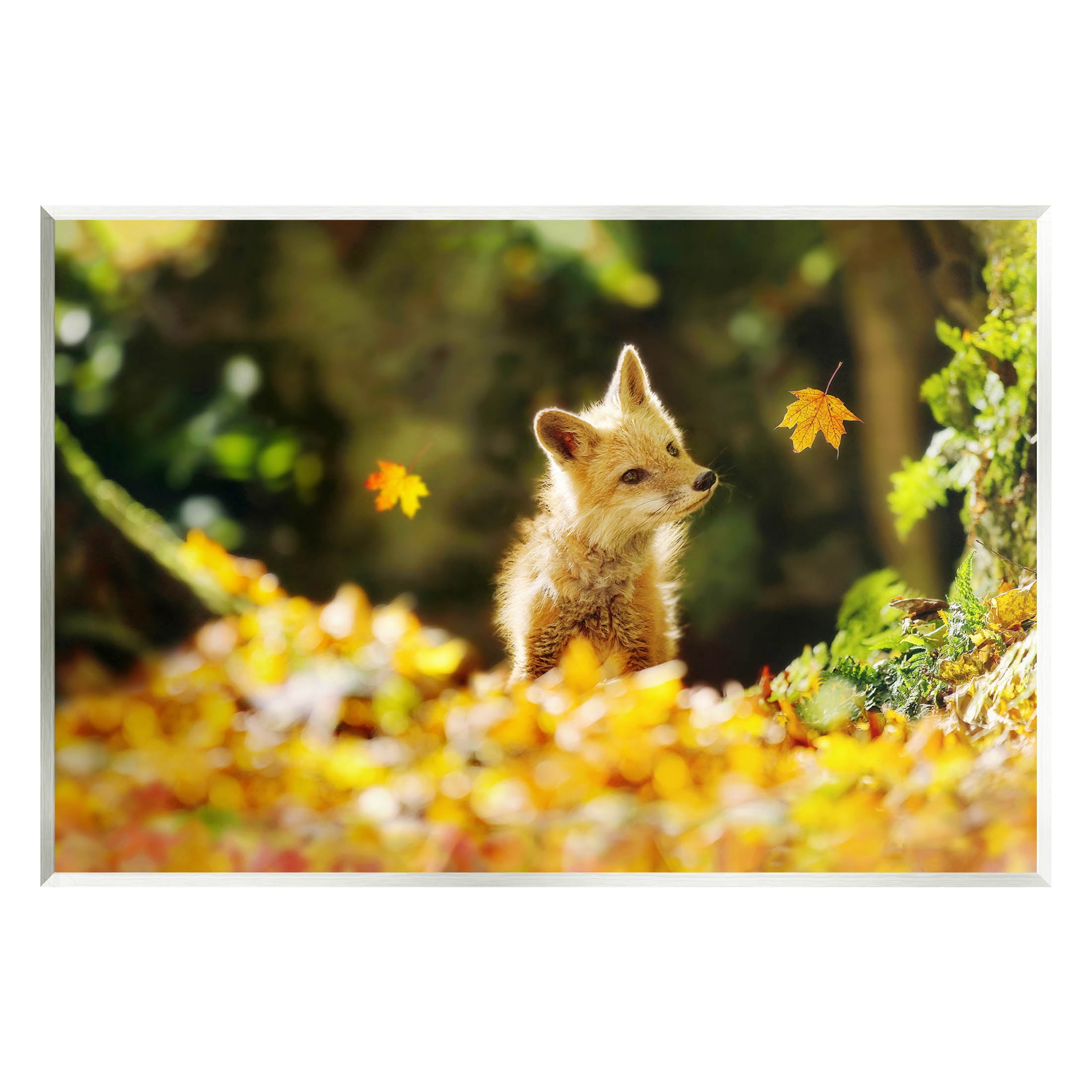 Stupell Industries Fox Watching Autumn Leaves Photograph Unframed Art Print Wall Art, Design by Carrie Ann Grippo-Pike