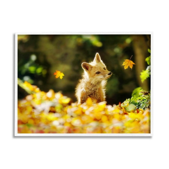 Stupell Industries Fox Watching Autumn Leaves Photograph White Framed Art Print Wall Art, Design by Carrie Ann Grippo-Pike
