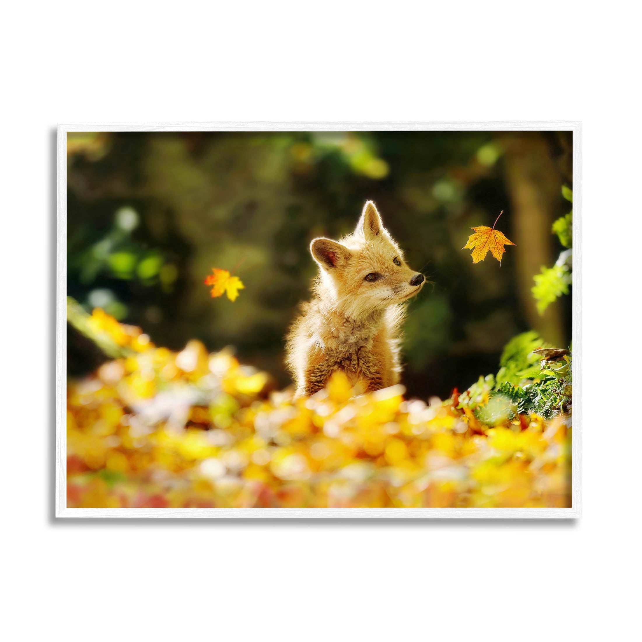 Stupell Industries Fox Watching Autumn Leaves Photograph White Framed Art Print Wall Art, Design by Carrie Ann Grippo-Pike