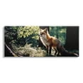 thumbnail image 1 of Stupell Industries Fox in Sunlit Forest Animals & Insects Photography Gallery Wrapped Canvas Art Print Wall Art, 24 x 10, 1 of 2