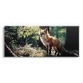 thumbnail image 1 of Stupell Industries Fox in Sunlit Forest Animals & Insects Photography Gallery Wrapped Canvas Art Print Wall Art, 40 x 17, 1 of 8
