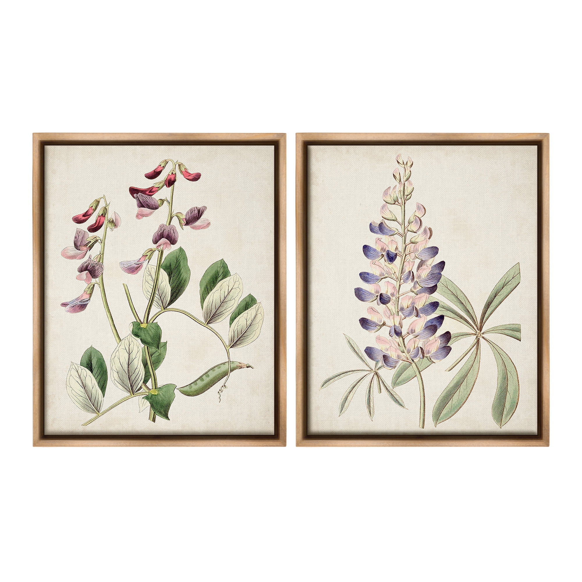 Stupell Industries Foxglove Latin Studies Botanical & Floral Painting Brown Floater Framed Canvas Art Print Wall Art, 25 x 31, Set of 2