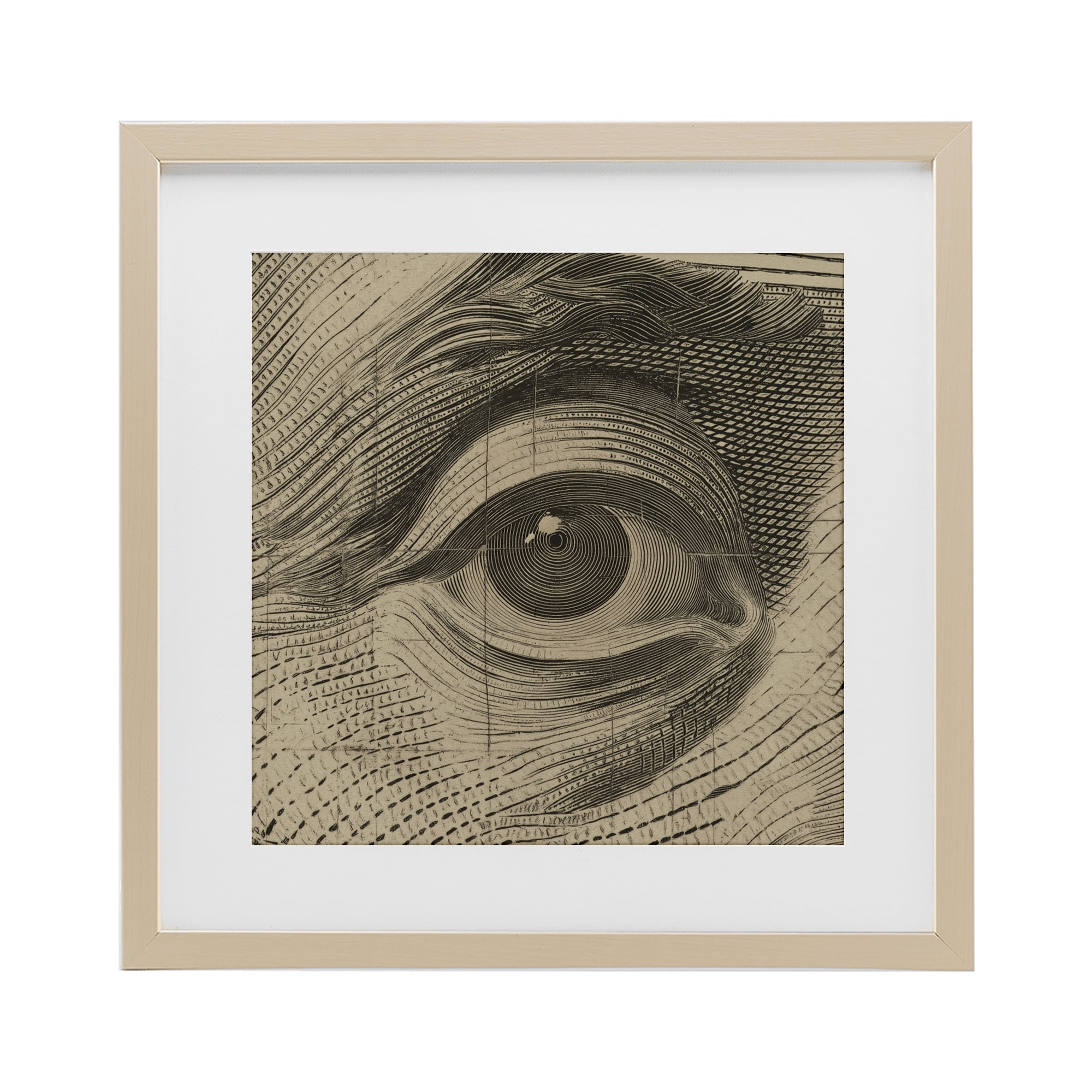 Stupell Industries Franklin's Gaze Eye Birch Framed Print Under Glass, design by Svetlana Aleynikova