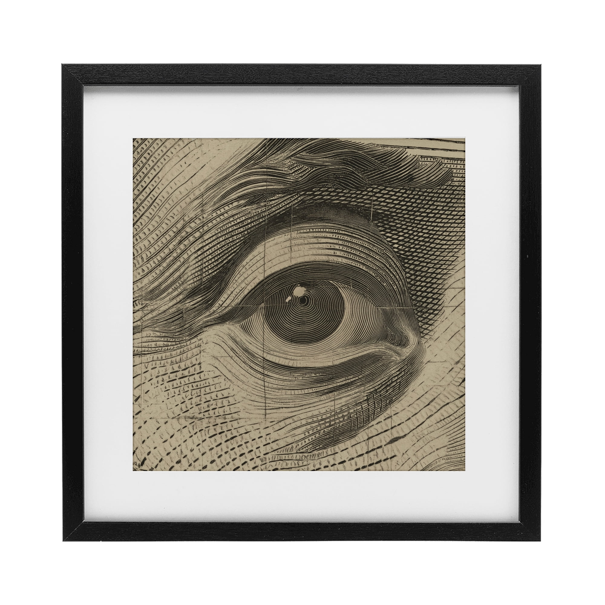 Stupell Industries Franklin's Gaze Eye Black Framed Print Under Glass, design by Svetlana Aleynikova