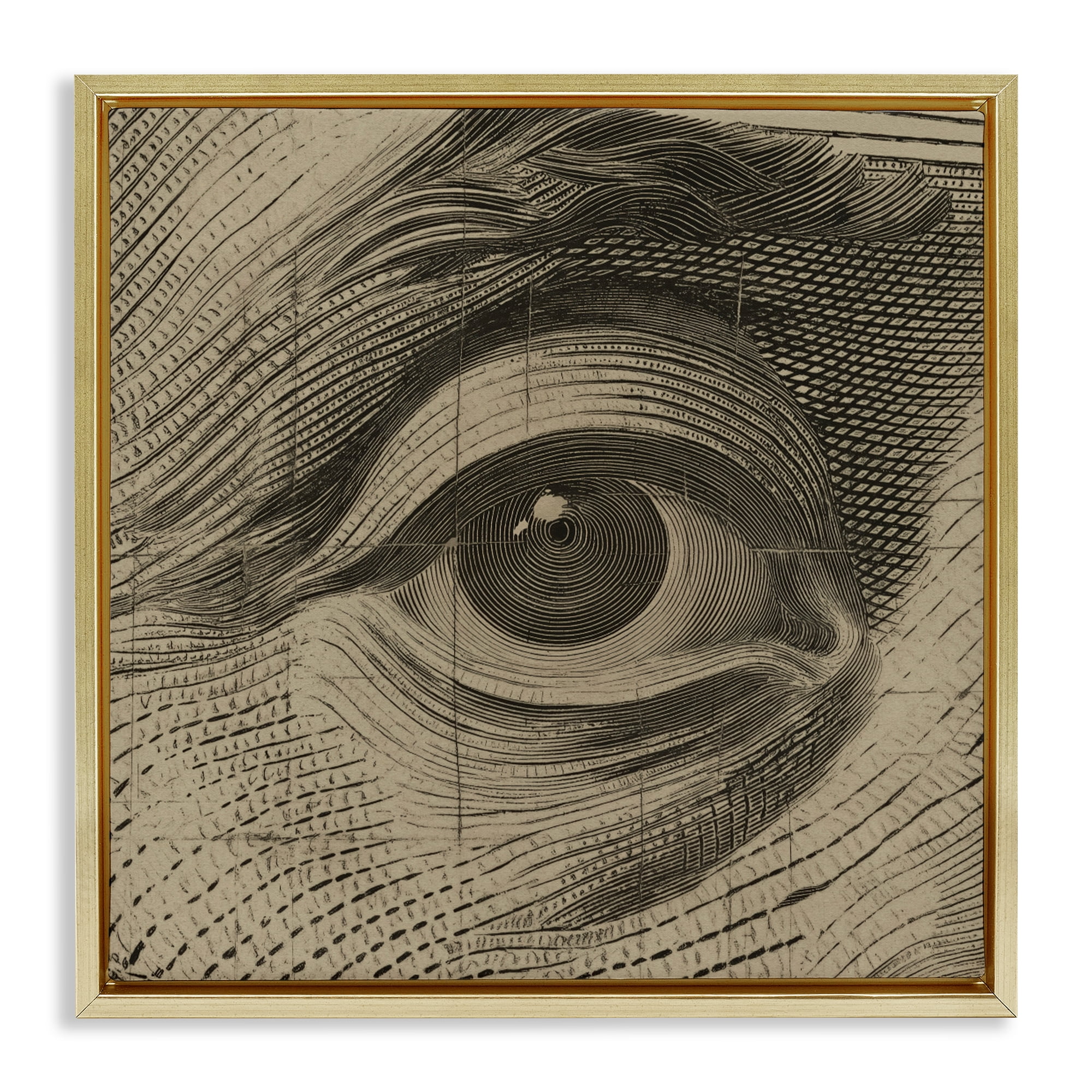 Stupell Industries Franklin's Gaze Eye Gold Framed Floater Canvas Wall Art, design by Svetlana Aleynikova