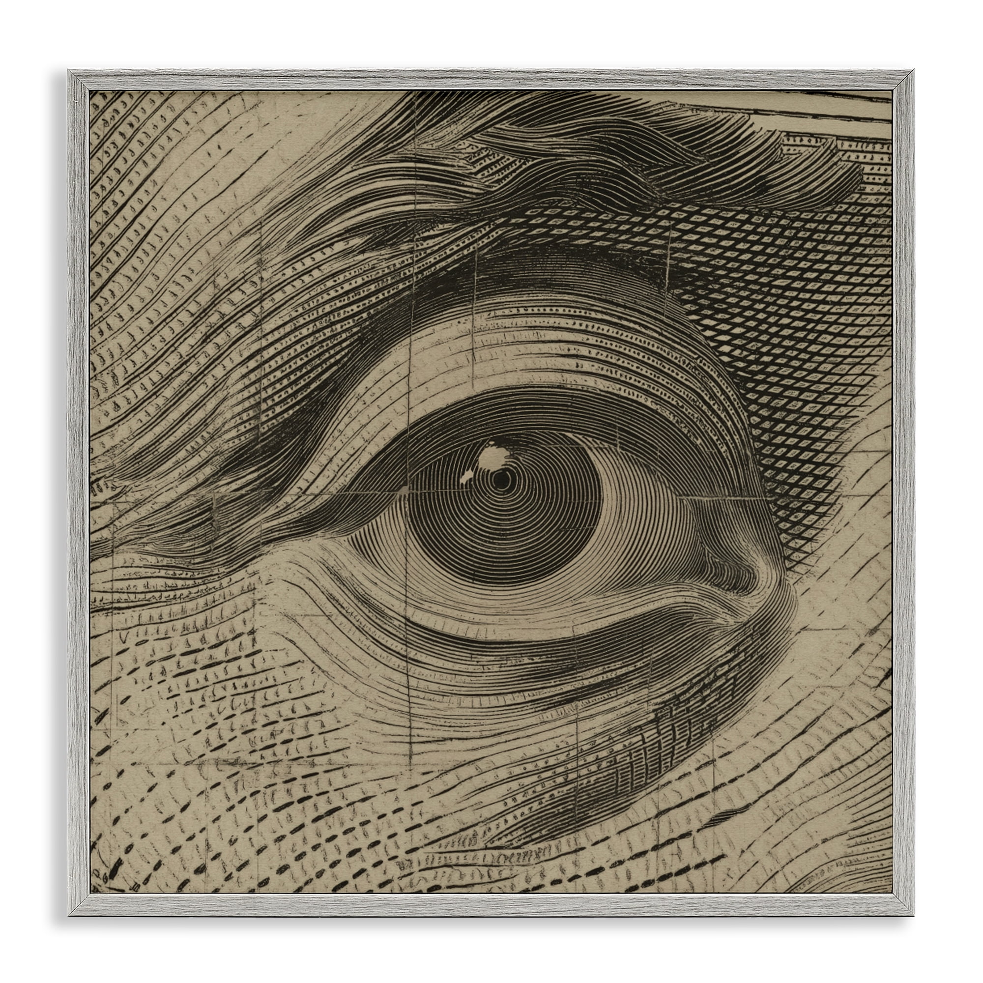 Stupell Industries Franklin's Gaze Eye Gray Framed Giclee Art, design by Svetlana Aleynikova