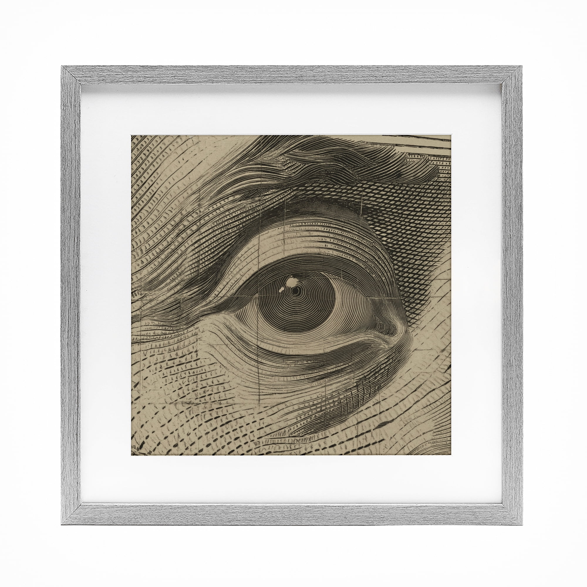 Stupell Industries Franklin's Gaze Eye Gray Framed Print Under Glass, design by Svetlana Aleynikova