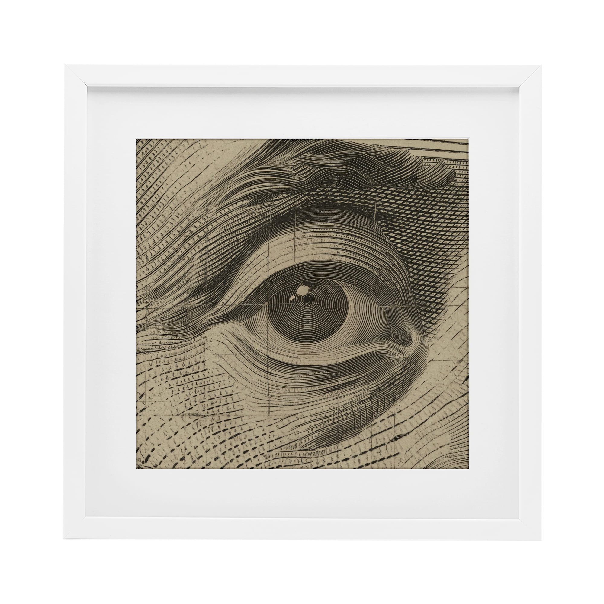 Stupell Industries Franklin's Gaze Eye White Framed Print Under Glass, design by Svetlana Aleynikova