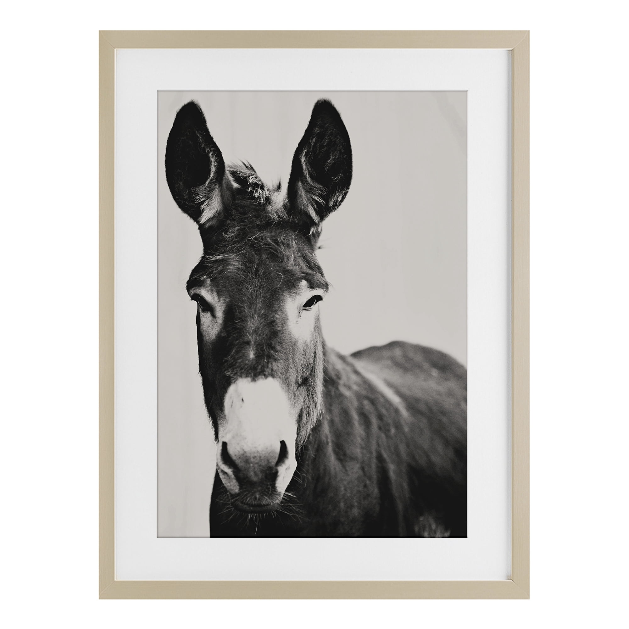 Stupell Industries Franz the Donkey Portrait Birch Framed Print Under Glass, design by Amy Carroll