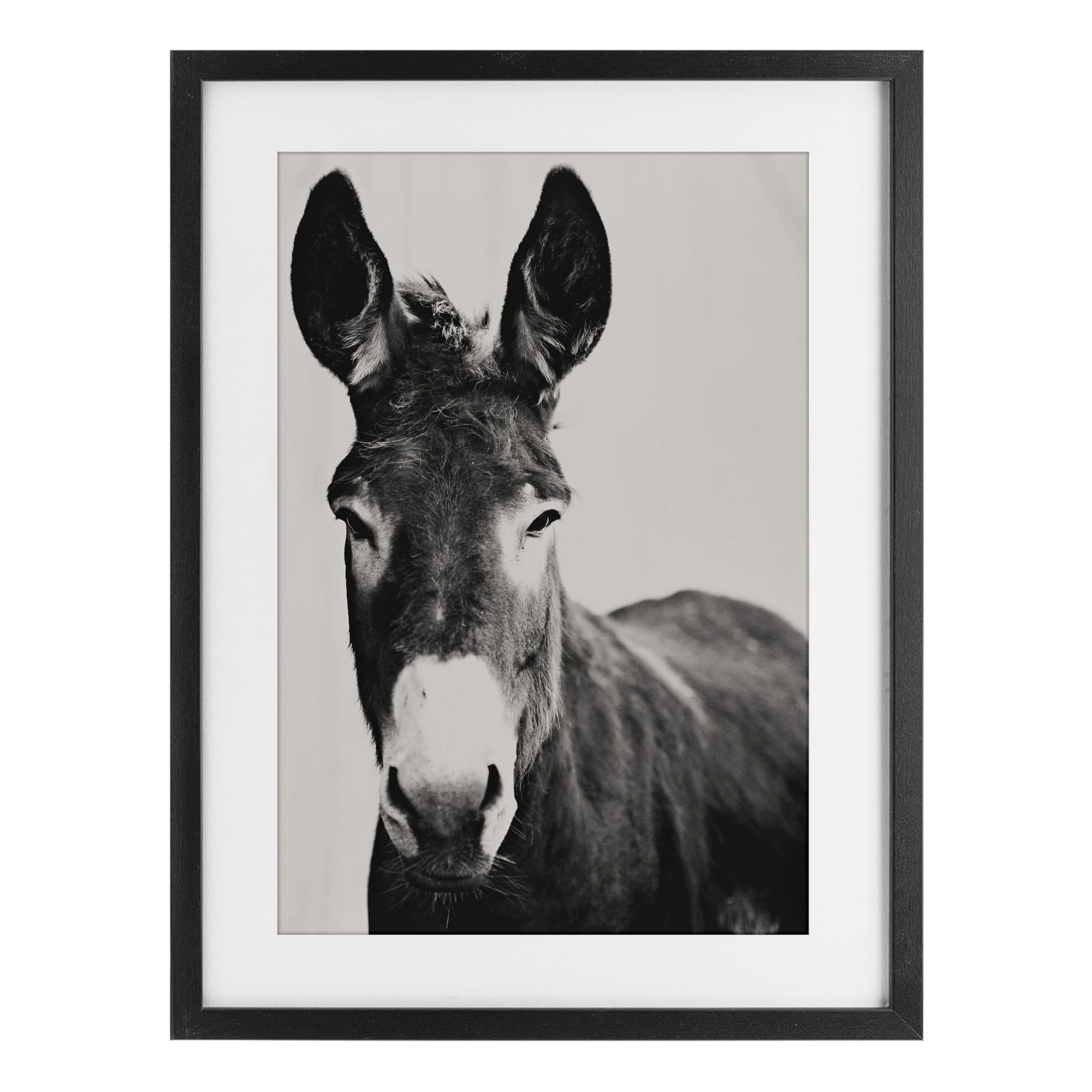 Stupell Industries Franz the Donkey Portrait Black Framed Print Under Glass, design by Amy Carroll