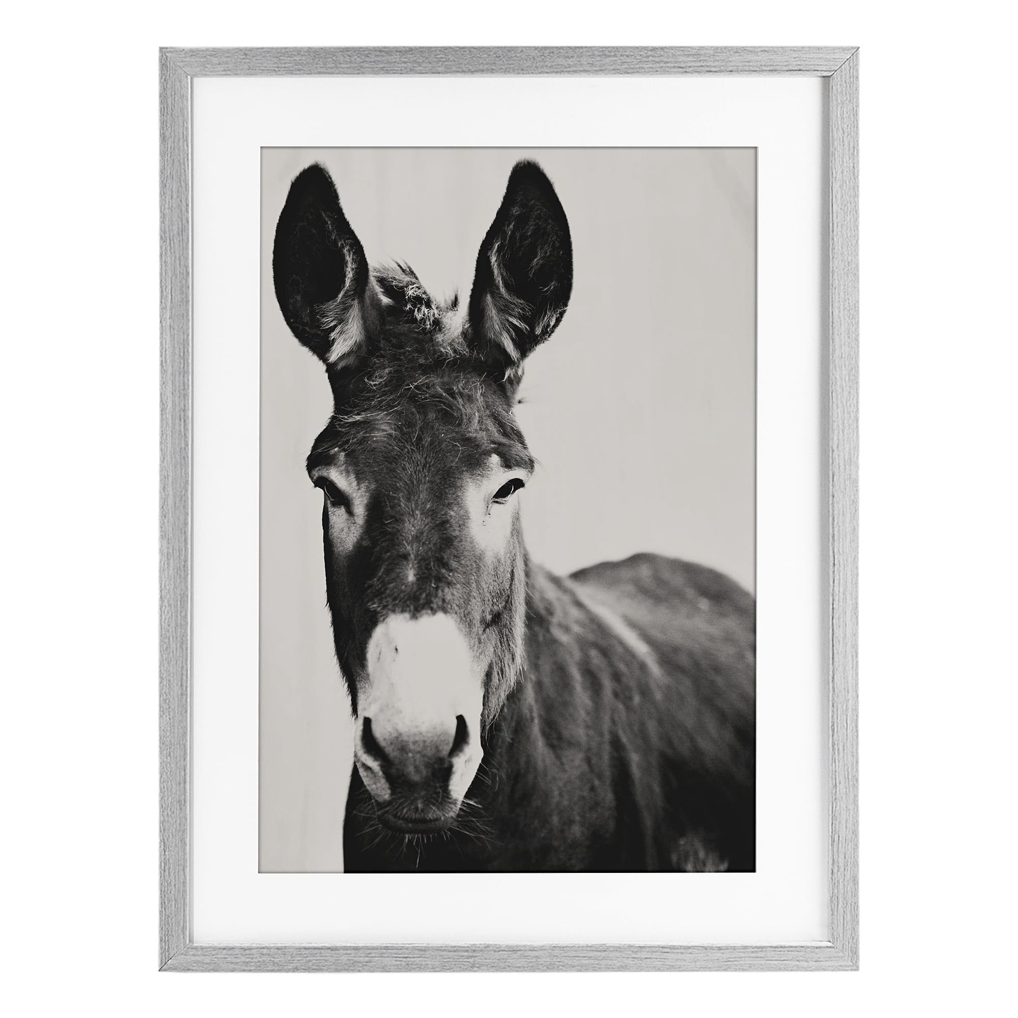 Stupell Industries Franz the Donkey Portrait Gray Framed Print Under Glass, design by Amy Carroll