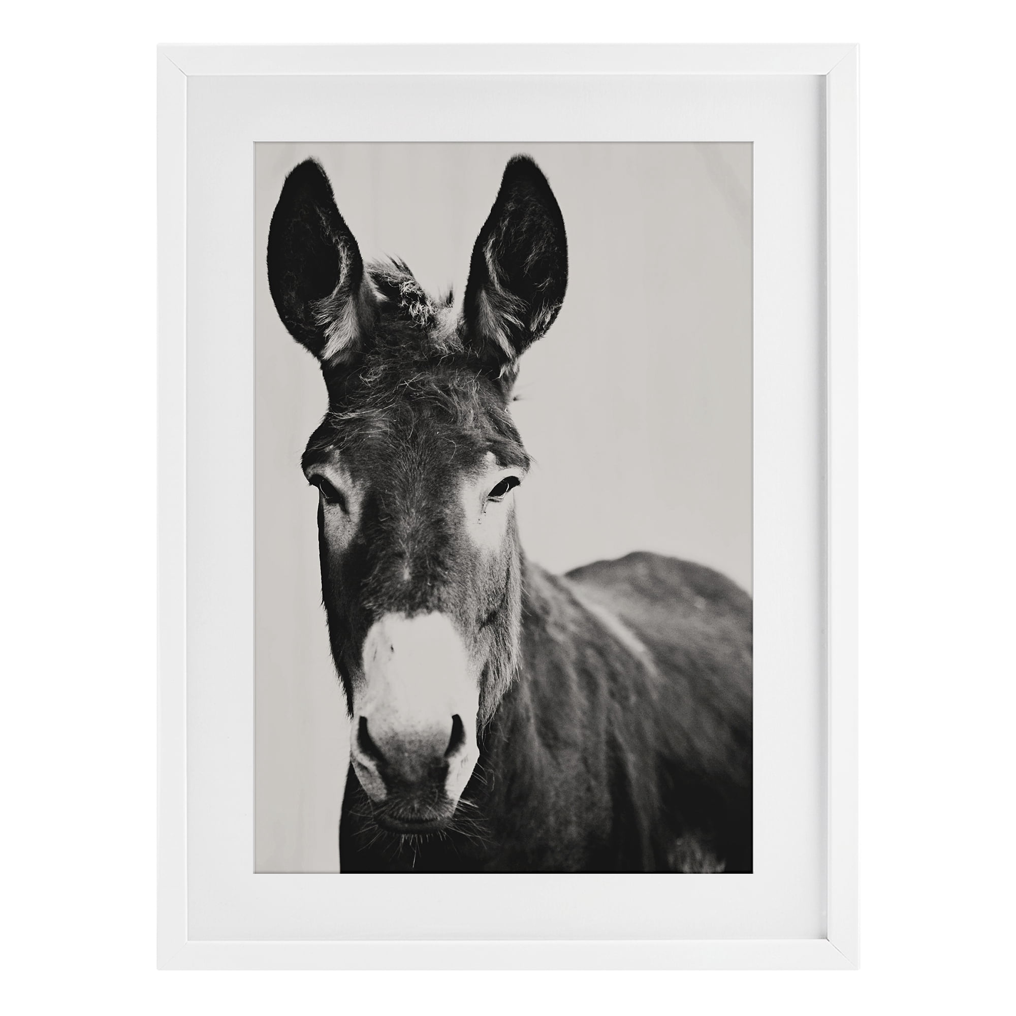 Stupell Industries Franz the Donkey Portrait White Framed Print Under Glass, design by Amy Carroll