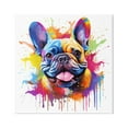 thumbnail image 1 of Stupell Industries French Bulldog Modern Splash Animals & Insects Painting Gallery Wrapped Canvas Art Print Wall Art, 17 x 17, 1 of 8