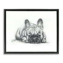 Stupell Industries French Bulldog Naptime Animals Drawing Black Floater Framed Canvas Art Print Wall Art, 21 x 17