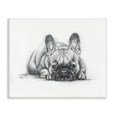 Stupell Industries French Bulldog Naptime Animals Drawing Wrapped Canvas Art Print Wall Art, 20 x 16