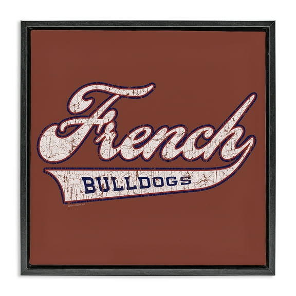 Stupell Industries French Bulldog Varsity Novelty & Humor Painting Black Floater Framed Canvas Art Print Wall Art, 18 x 18