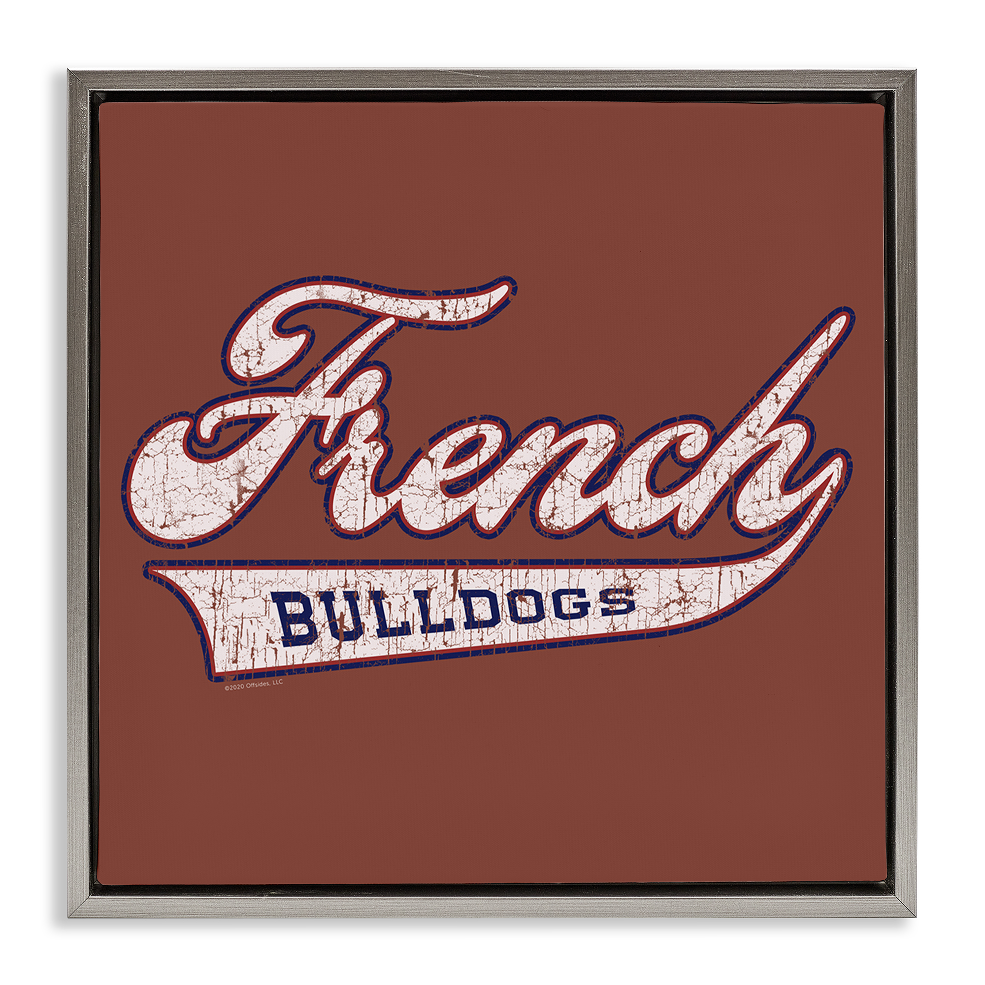 Stupell Industries French Bulldog Varsity Novelty & Humor Painting Gray Floater Framed Canvas Art Print Wall Art, 18 x 18