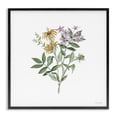 thumbnail image 1 of Stupell Industries French Country Blooming Botanical Mix Black Framed Giclee Art, 24 x 24, by Cindy Jacobs, 1 of 7