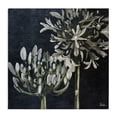 thumbnail image 1 of Stupell Industries French Country Blooming White Herbs Canvas Art, 36 x 36, by Patricia Pinto, 1 of 8