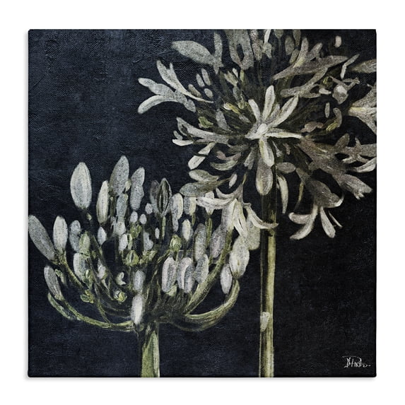 Stupell Industries French Country Blooming White Herbs Canvas Art, 36 x 36, by Patricia Pinto