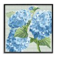thumbnail image 1 of Stupell Industries French Country Blue Hydrangea Blossoms Black Framed Giclee Art, 12 x 12, by Erica Christopher, 1 of 7