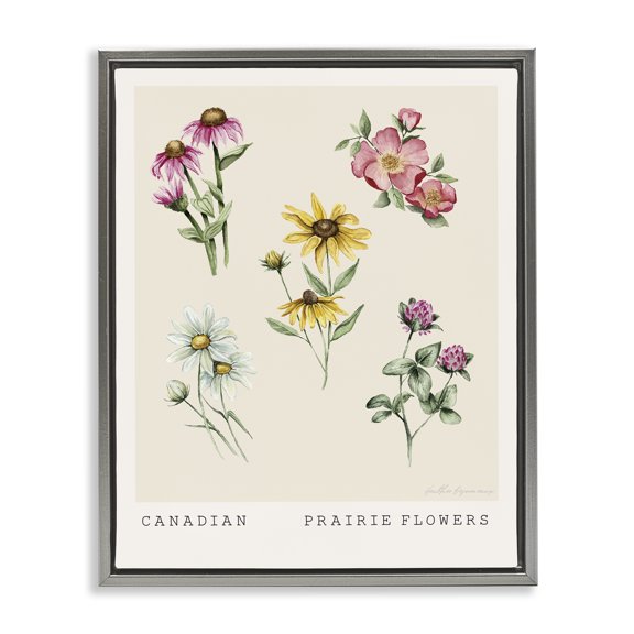 Stupell Industries French Country Canadian Prairie Florals Gray Floating Frame Canvas Art, 25 x 31, by Heather Desormeaux