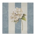 thumbnail image 1 of Stupell Industries French Country Canvas Art, 24 x 24, by Patricia Pinto, 1 of 8