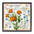 thumbnail image 1 of Stupell Industries French Country Country Herb Uses Black Floating Frame Canvas Art, 18 x 18, by Jane Maday, 1 of 8