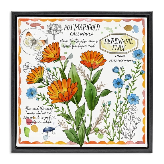 Stupell Industries French Country Country Herb Uses Black Floating Frame Canvas Art, 18 x 18, by Jane Maday