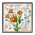 thumbnail image 1 of Stupell Industries French Country Country Herb Uses Black Framed Giclee Art, 12 x 12, by Jane Maday, 1 of 8