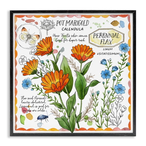 Stupell Industries French Country Country Herb Uses Black Framed Giclee Art, 12 x 12, by Jane Maday