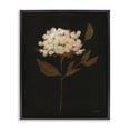 thumbnail image 1 of Stupell Industries French Country Dark Fall Flower Black Floating Frame Canvas Art, 17 x 21, by Haley Knighten, 1 of 8