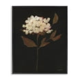 thumbnail image 1 of Stupell Industries French Country Dark Fall Flower Black Framed Giclee Art, 11 x 14, by Haley Knighten, 1 of 8