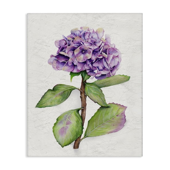 Stupell Industries French Country European Style Hydrangea Canvas Art, 16 x 20, by Levison Design