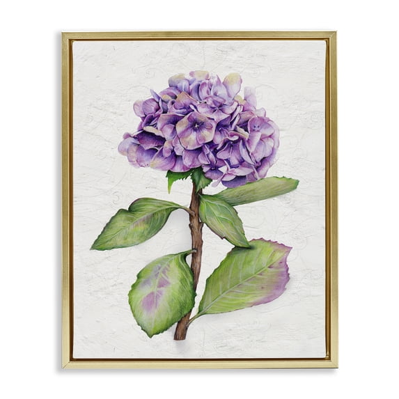 Stupell Industries French Country European Style Hydrangea Gold Floating Frame Canvas Art, 17 x 21, by Levison Design