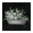 thumbnail image 1 of Stupell Industries French Country Floral Bath on Black Canvas Art, 17 x 17, by Nan, 1 of 8