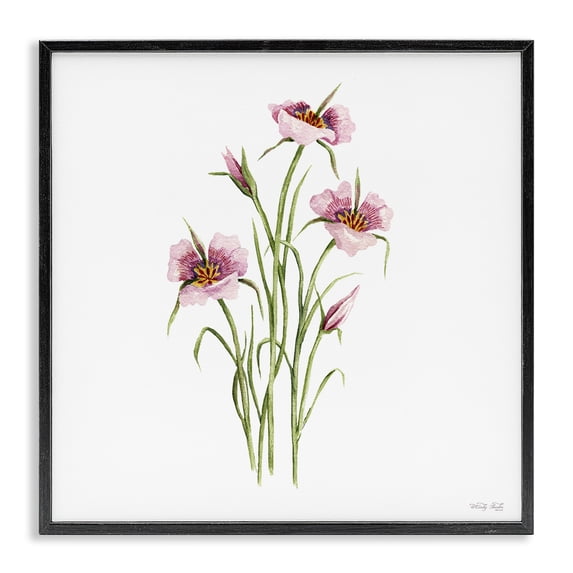 Stupell Industries French Country Fuchsia Mariposa Botanical Black Framed Giclee Art, 12 x 12, by Cindy Jacobs