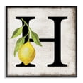 thumbnail image 1 of Stupell Industries French Country H with Lemon Letter Black Framed Giclee Art, 12 x 12, by Creatif Belle, 1 of 8