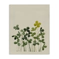 thumbnail image 1 of Stupell Industries French Country Hidden Gems Botanicals Canvas Art, 24 x 30, by Grace Popp, 1 of 8