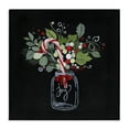 thumbnail image 1 of Stupell Industries French Country Joy Candy Cane Jar Canvas Art, 17 x 17, by Janet Tava, 1 of 8