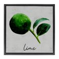 thumbnail image 1 of Stupell Industries French Country Kitchen Lime with Leaf Black Floating Frame Canvas Art, 18 x 18, by Regina Moore, 1 of 8