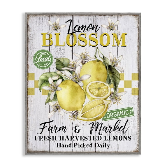Stupell Industries French Country Lemon Blossom Market Gray Framed Giclee Art, 16 x 20, by Creatif Belle