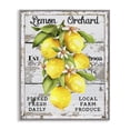 thumbnail image 1 of Stupell Industries French Country Lemon Orchard Market Gray Framed Giclee Art, 11 x 14, by Creatif Belle, 1 of 8