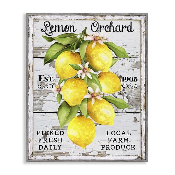 Stupell Industries French Country Lemon Orchard Market Gray Framed Giclee Art, 11 x 14, by Creatif Belle