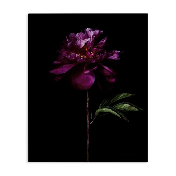 Stupell Industries French Country Long Stem Flower Photograph Canvas Art, 24 x 30, by Floragraphica
