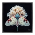 thumbnail image 1 of Stupell Industries French Country Moth & White Flowers Black Floating Frame Canvas Art, 18 x 18, by RB, 1 of 8